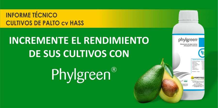 INCREMENTE EL RENDIMIENTO DE SUS CULTIVOS CON PHYLGREEN®