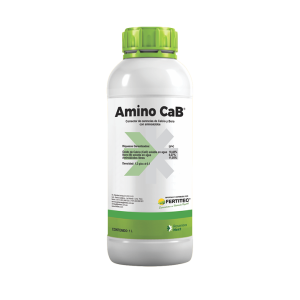 Amino CaB® (copia)