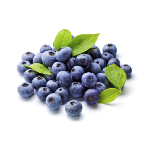 Plan nutricional arándanos