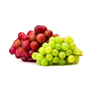 Plan nutricional  Vid – Norte