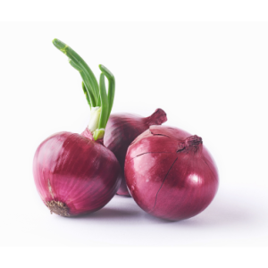 Plan nutricional Cebolla Trasplantada