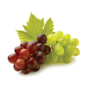 Plan nutricional Vid – Sur