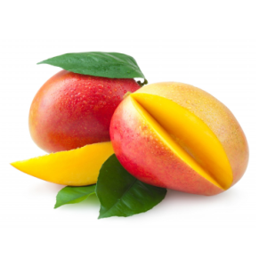Plan nutricional Mango – Norte Grande